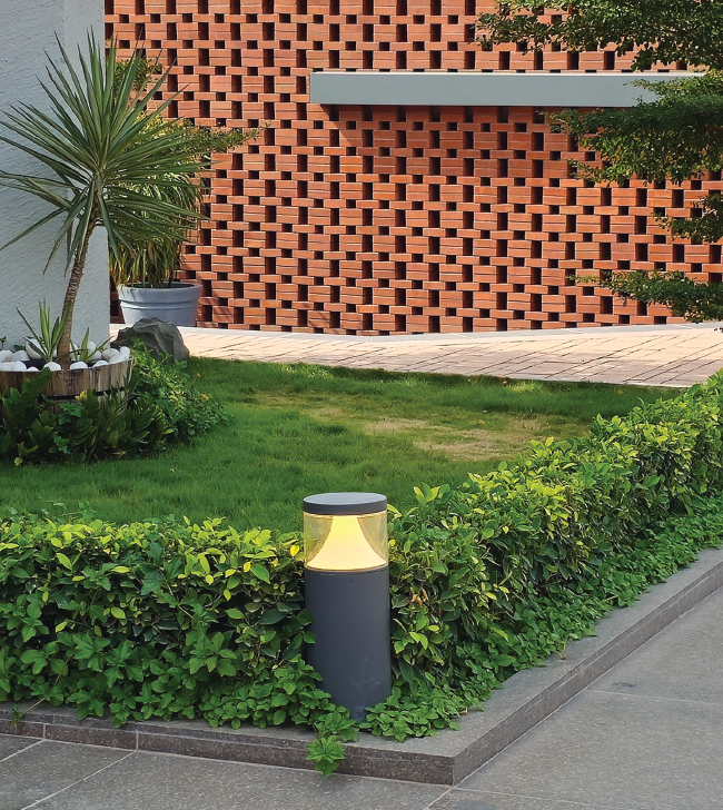 Vera Bollard - alternate view