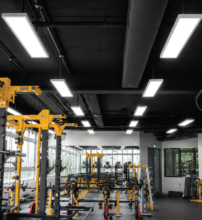 Industrial Luminaire - alternate view